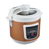 Low Sugar Rice Electric Rice Cooker 5L TT03-GG