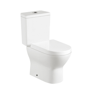 Washdown Ceramic Two Piece Wall Mounted Toilet G015